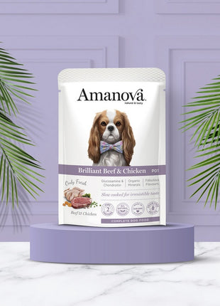 Amanova Dog Adult Brilliant Beef & Chicken - wołowina i kurczak saszetka 300g [P01]