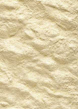 Nutribird A19 Papegaai