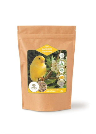 Utopia Kanaries Top Quality