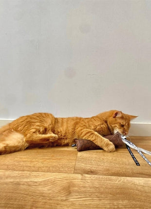 Martin Kattenspeelgoed Estelle Kussen Met Catnip Gerecycled Assorti