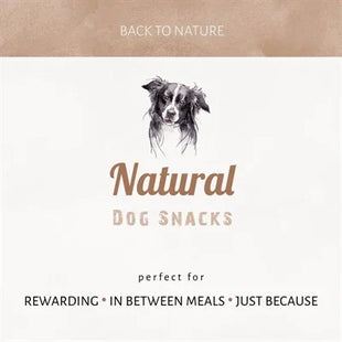 Antos Bullepeespuntjes