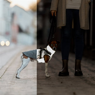 Trixie Hondenjas Pontis Met Tuig Reflect Grijs