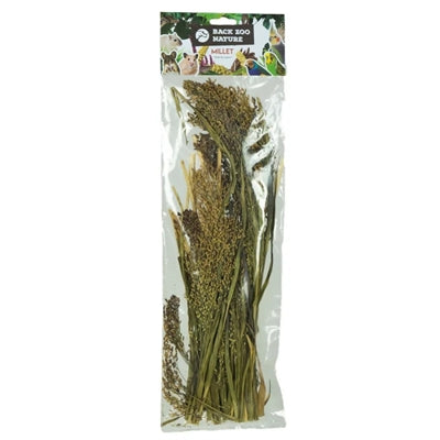Back Zoo Nature Millet Panicum