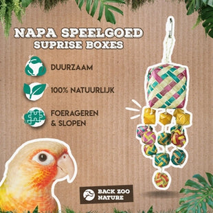 Back Zoo Nature Surprise Boxes