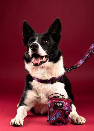 CHABA Obroża regulowana Story III L Lakota