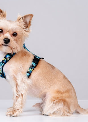 CHABA Szelki Guard Story III XL 3,0cm Carnival