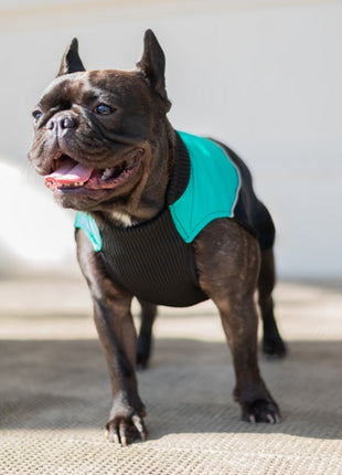 Chaba Ubranko regulowane Wear Magnifique S zielone