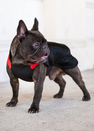 Chaba Ubranko regulowane Wear Magnifique M czerwone