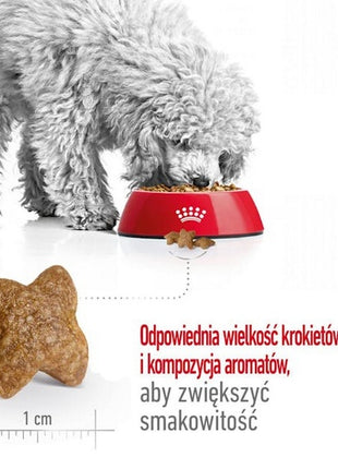 Royal Canin Mini Adult karma sucha dla psów dorosłych, ras małych 8kg