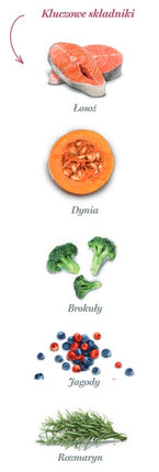 Amanova Dog Adult Mini Sensitive Salmon Deluxe - łosoś 800g