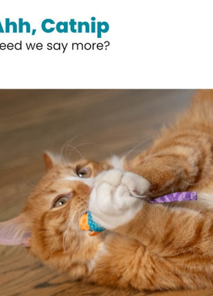 Petstages Myszki bliźniaczki z kocimiętką PS327