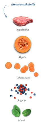 Amanova Cat Adult Delicious Lamb - jagnięcina 1,5kg