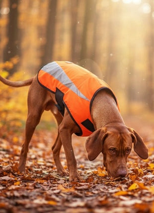 Zolux Kamizelka odblaskowa R.60 pomarańczowa