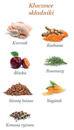 Amanova Dog Adult Exquisite Chicken - kurczak saszetka 300g [P03]
