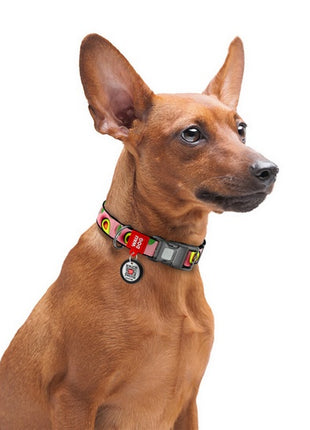 Collar WauDog Nylon Obroża nylonowa z QR-paszportem, plastikowy fastex, wzór AWOKADO NA RÓŻU, S 15mm/25-35cm