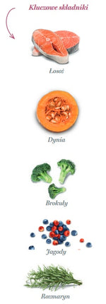 Amanova Dog Adult Sensitive Salmon Deluxe - łosoś 10kg