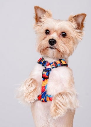 CHABA Szelki Guard Story III XL 3,0cm Aussie