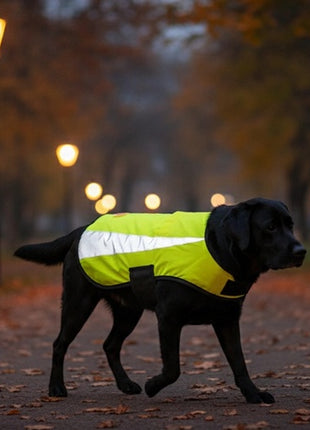 Zolux Kamizelka odblaskowa R.45 żółta