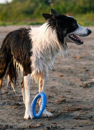 Kiwi Walker Let's Play Ring Mini niebieski