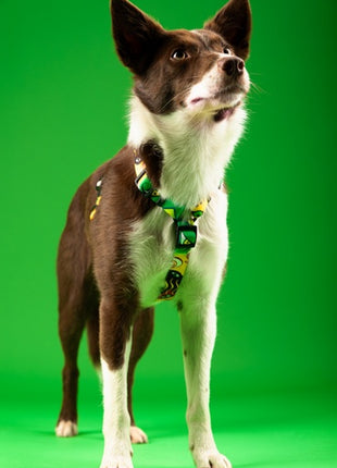 CHABA Szelki Guard Story III XL 3,0cm Jumbo