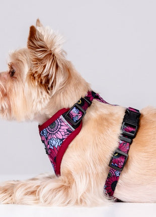 CHABA Szelki Guard Comfort Story III bezuciskowe L 2,0cm Lakota