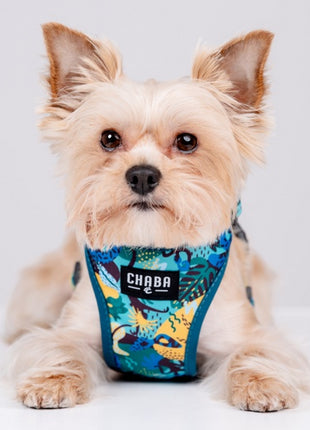 CHABA Szelki Guard Comfort Story III bezuciskowe M 1,6cm Carnival