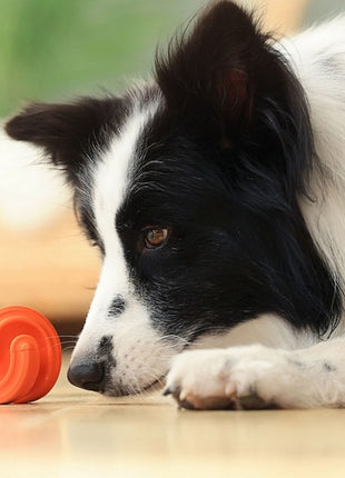 PetDreamHouse Zabawka gumowa Geo-Hex pomarańczowa