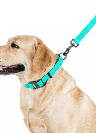 Collar WauDog Waterproof Obroża wodoodporna z QR-paszportem, akumulująca światło, plastikowy fastex, 25mm/34-49cm