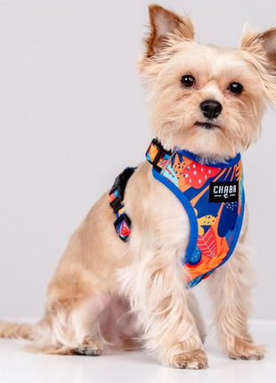 CHABA Szelki Guard Comfort Story III bezuciskowe L 2,0cm Aussie