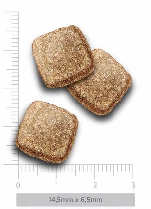 Amanova Dog Adult Obesity Turkey Delight - indyk 10kg