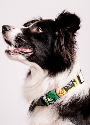 CHABA Obroża regulowana Story III S Jumbo