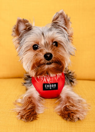 CHABA Szelki Guard Comfort Classic M czerwone