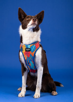 CHABA Szelki Guard Comfort Story III bezuciskowe L 2,0cm Aussie