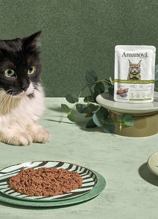 Amanova Cat Sterilised Lamb & Sardines - jagnięcina i sardynki saszetka 85g [P13]