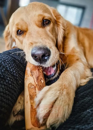 4DOGS Gryzak z drzewa oliwnego L