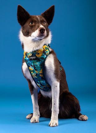 CHABA Szelki Guard Comfort Story III bezuciskowe L 2,0cm Carnival