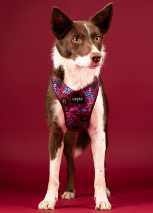 CHABA Szelki Guard Comfort Story III bezuciskowe M 1,6cm Lakota