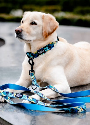 CHABA Obroża regulowana Story III S Carnival