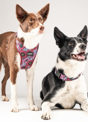 CHABA Obroża regulowana Story III L Lakota