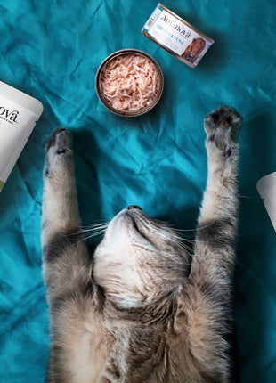 Amanova Cat Sterilised Lamb & Sardines - jagnięcina i sardynki saszetka 85g [P13]