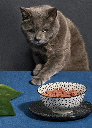 Amanova Cat Tasty Salmon & Turkey - łosoś i indyk saszetka 85g [P11]