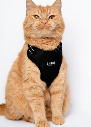 CHABA Szelki Guard Comfort Classic M czarne