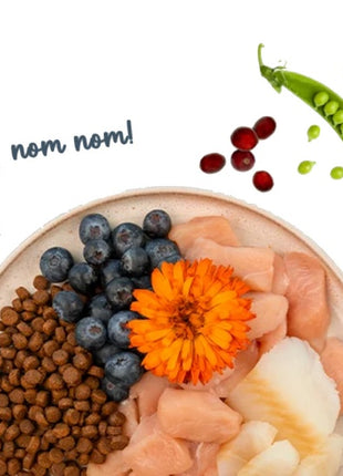 Sanabelle Adult Forelle - z pstrągiem 400g