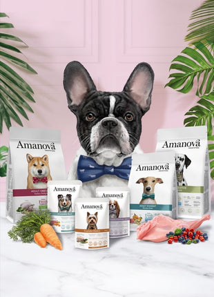 Amanova Dog Puppy Exquisite Chicken - kurczak saszetka 300g [P08]