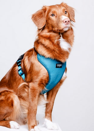 CHABA Szelki Guard Comfort Classic L morskie