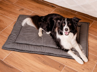 MIMIKO Pets Mata Velvet 100x70cm grafit