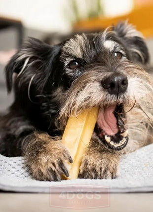 4DOGS Gryzak z sera himalajskiego Churpi Original M