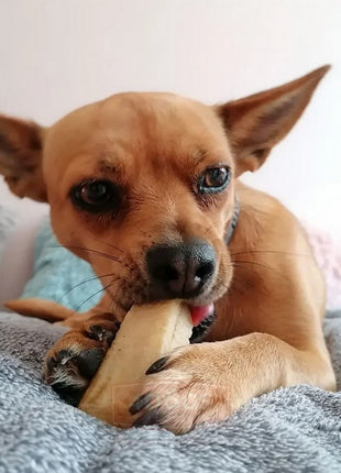 4DOGS Gryzak z sera himalajskiego Churpi Original M