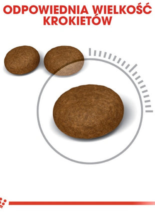 Royal Canin Hair&Skin Care karma sucha dla kotów dorosłych, lśniąca sierść i zdrowa skóra 2kg