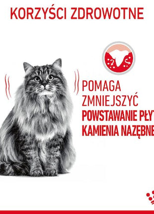Royal Canin Dental Care karma sucha dla kotów dorosłych, redukująca odkładanie kamienia nazębnego 3,5kg